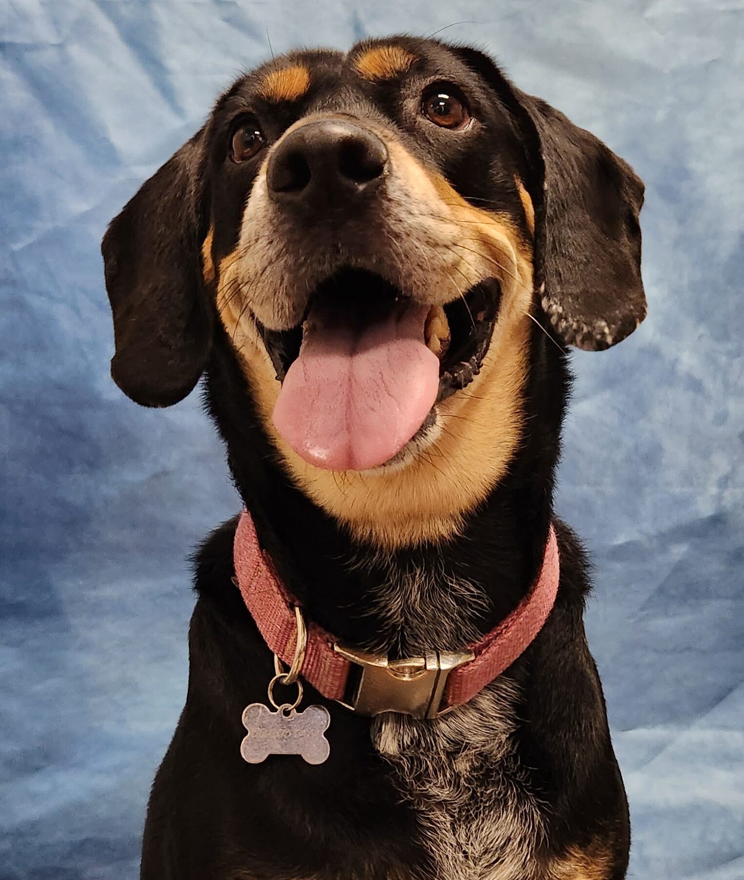 Mabel-Jeans-Yearbook-Picture-e1700365211583-1-1.jpg